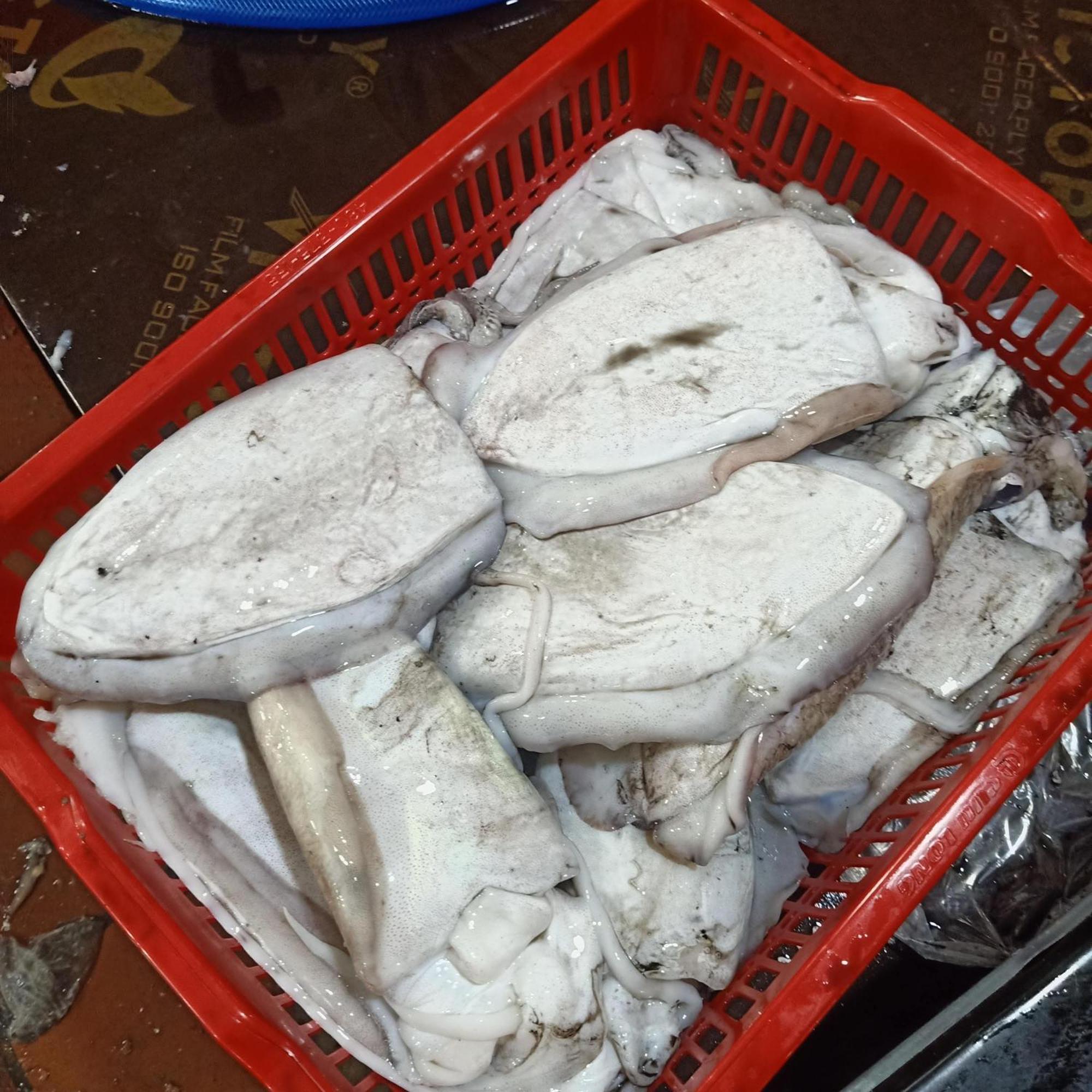 Cat Ba Victory Hostel Dong Khe Sau المظهر الخارجي الصورة